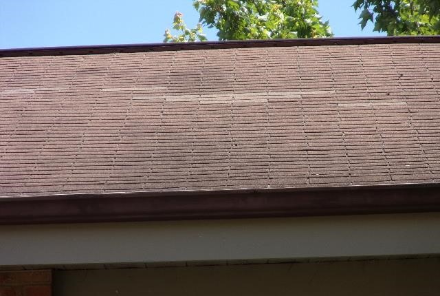 Damaged and Lifting Shingles